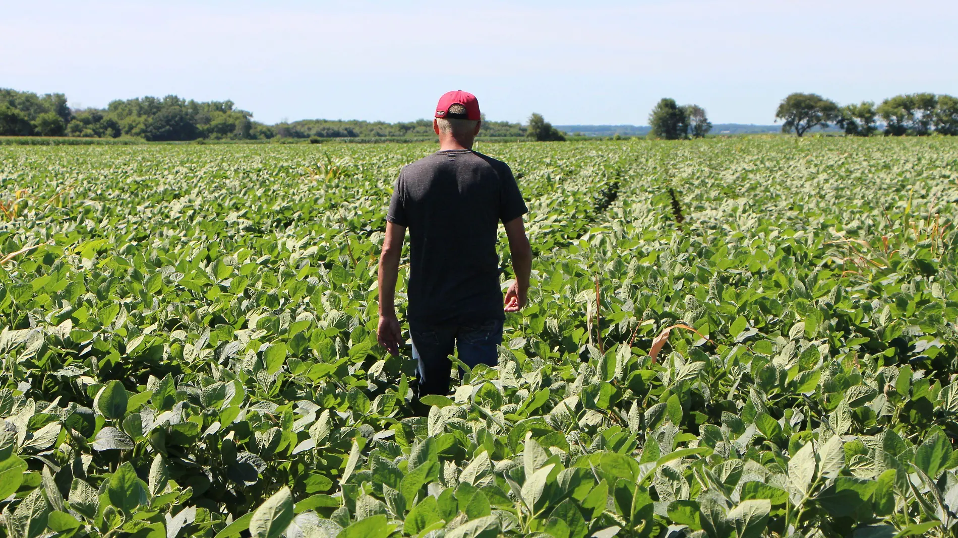 campesinos estados unidos